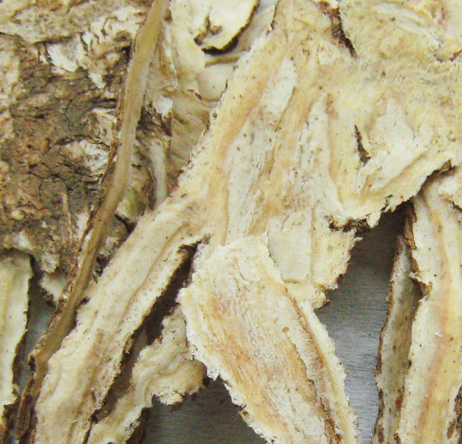 Organic Angelica Sinensis Root*