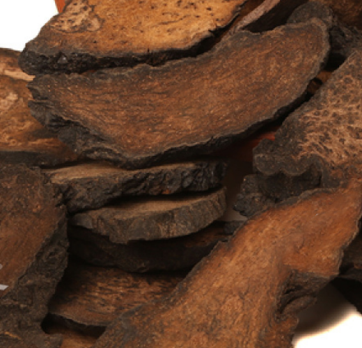 Organic Cistanches Root*