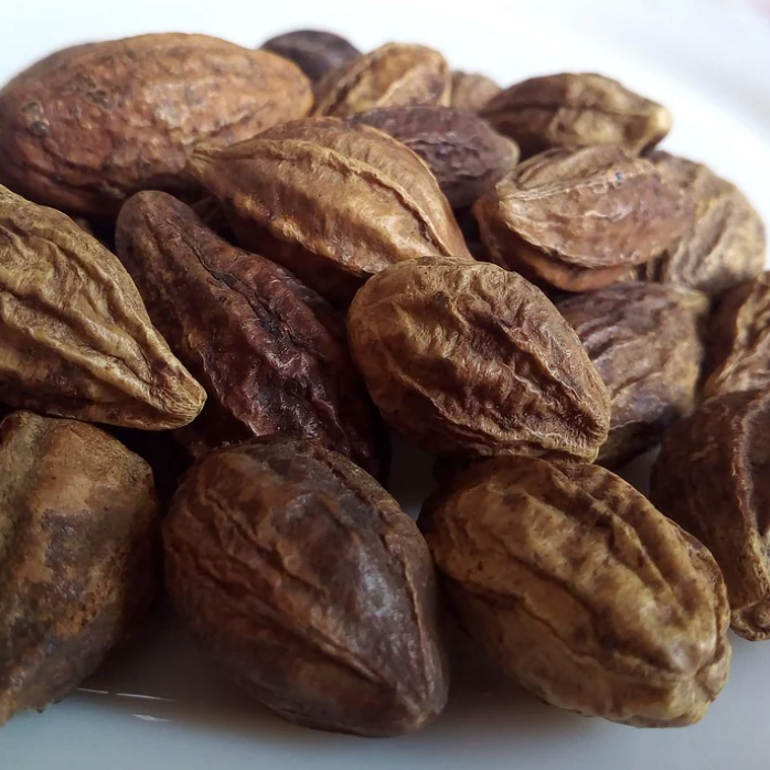 Organic Haritaki Fruit*