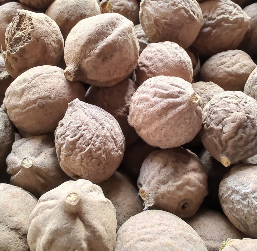 Organic Bibhitaki Fruit*
