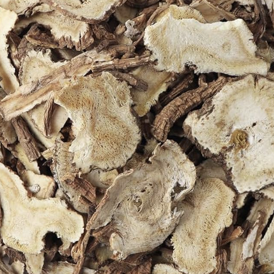 Organic Fragrant Angelica (Angelica dahurica) Root*