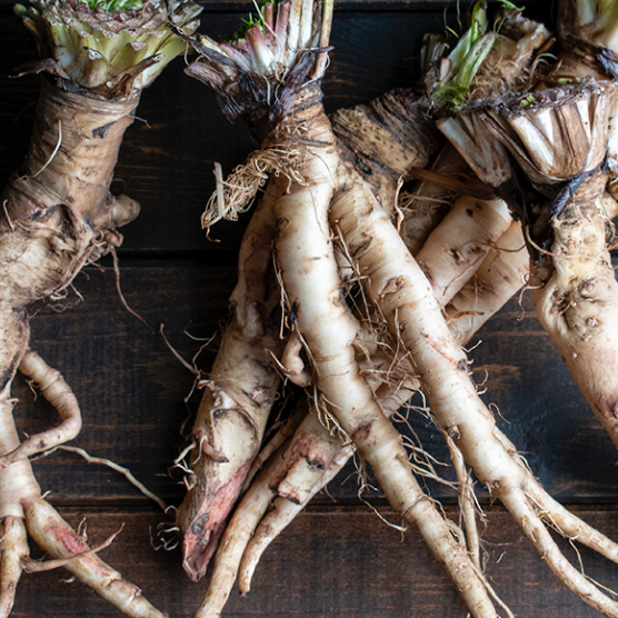 Organic Dandelion Root*