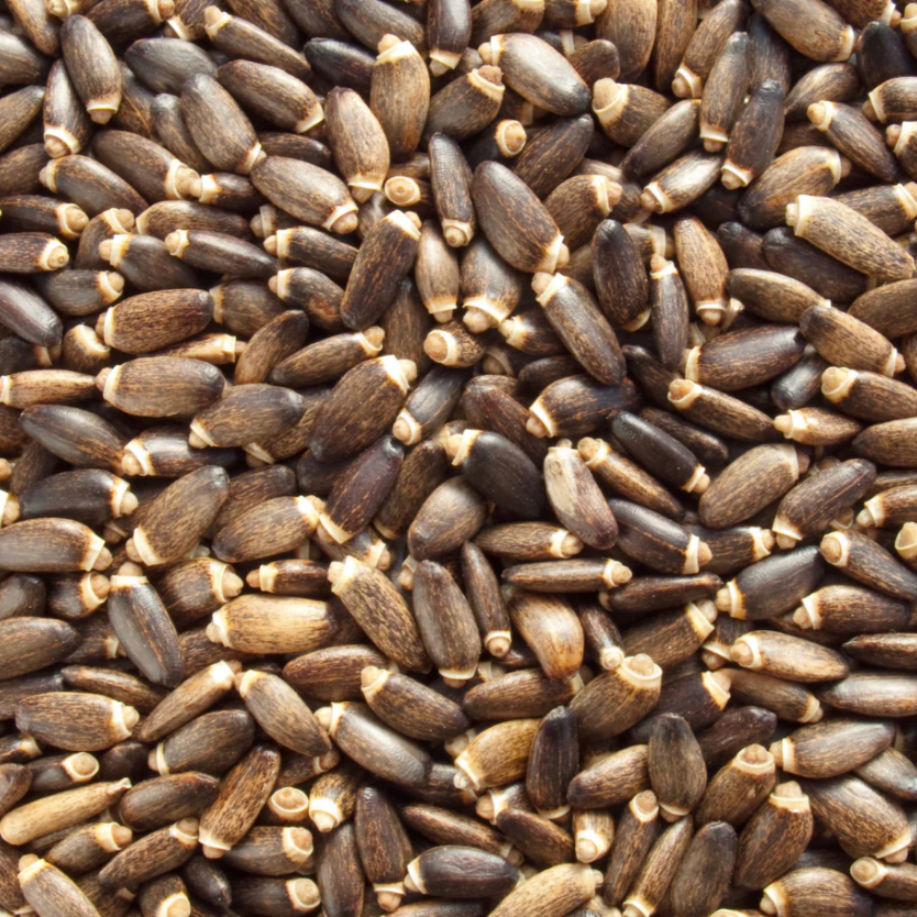 Organic Milk Thistle Seed*