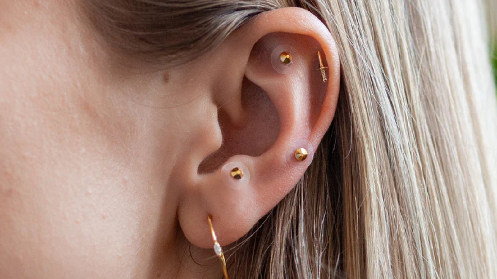 Where To Place Ear Seeds For Weight Loss