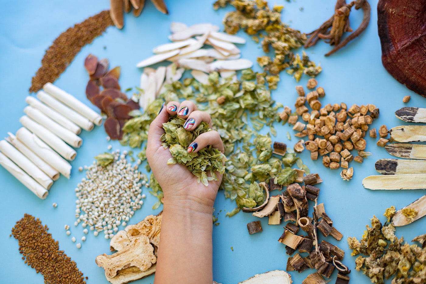 Holding herbal medicine