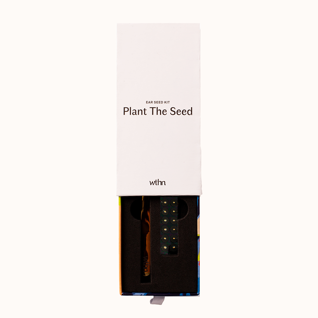 plant the seed ear seed kit Ear Seeds Kit | Acupressure Treatment At Home